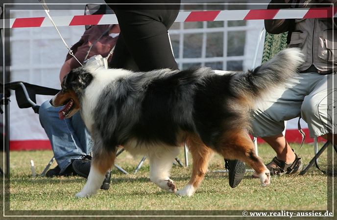 09_09_neerpelt_056