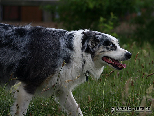 lilly_0714